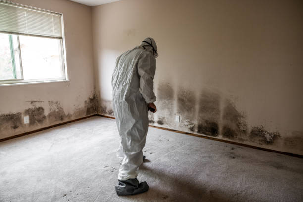 Best Crawl Space Mold Remediation in Squaw Valley, CA